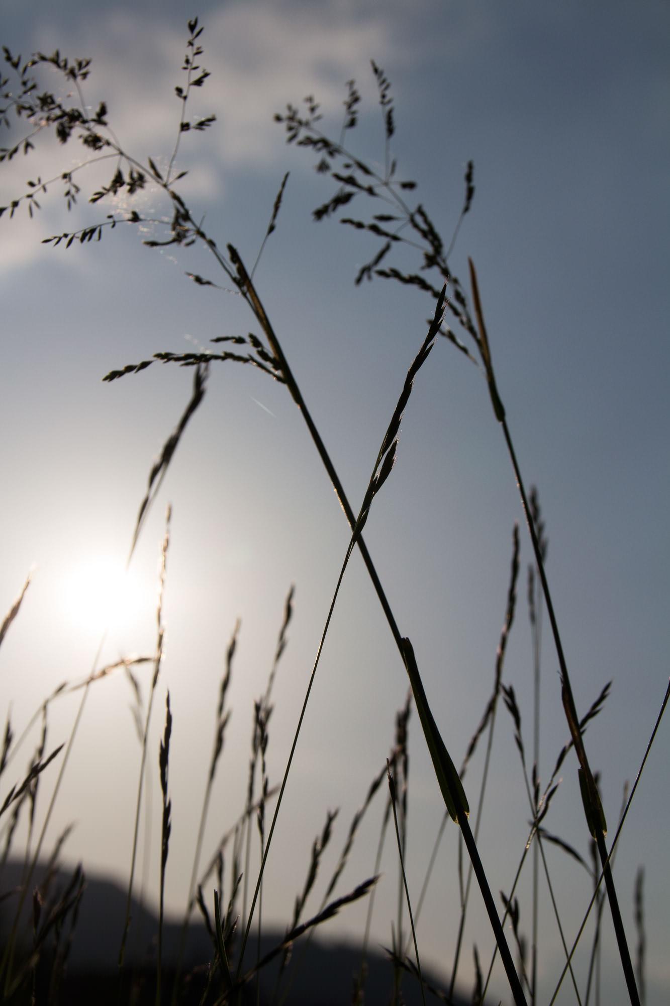backlight_3