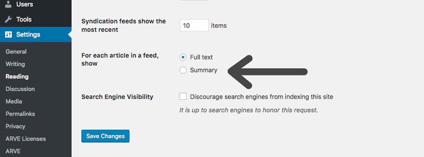 Excerpts in RSS Feed