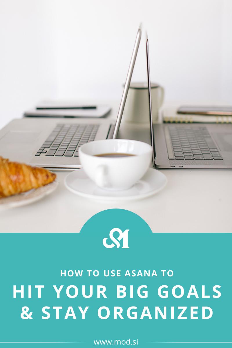 How to Use Asana to Hit Your Big Goals & Stay Organized 
