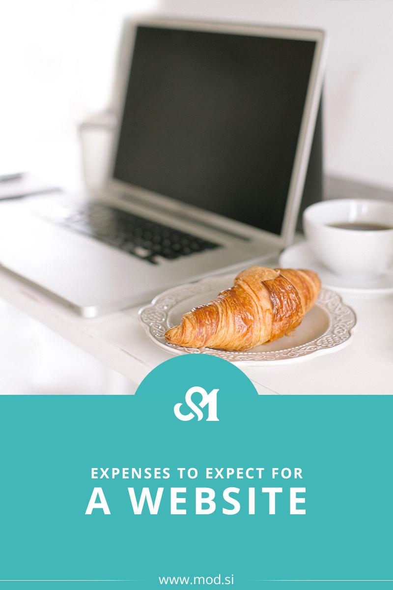 Expenses to Expect for a Website
