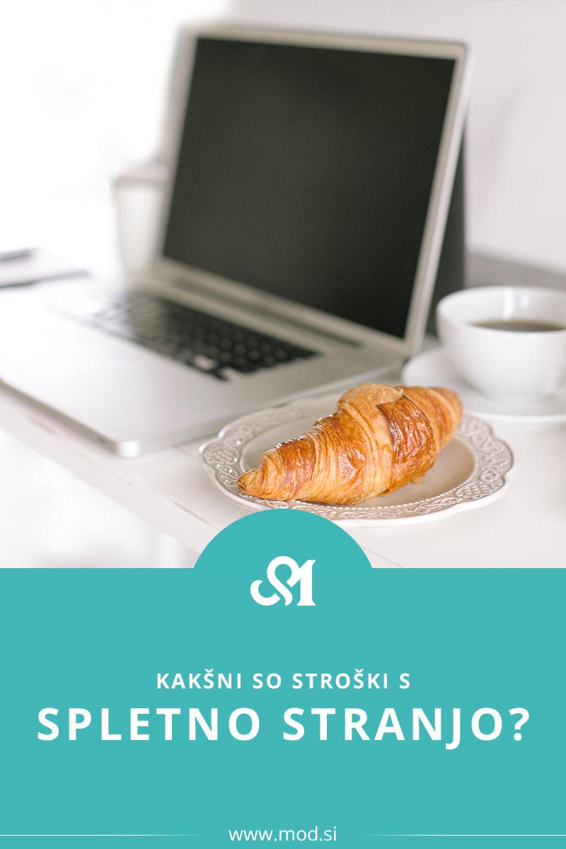 Kakšni so stroški s spletno stranjo?