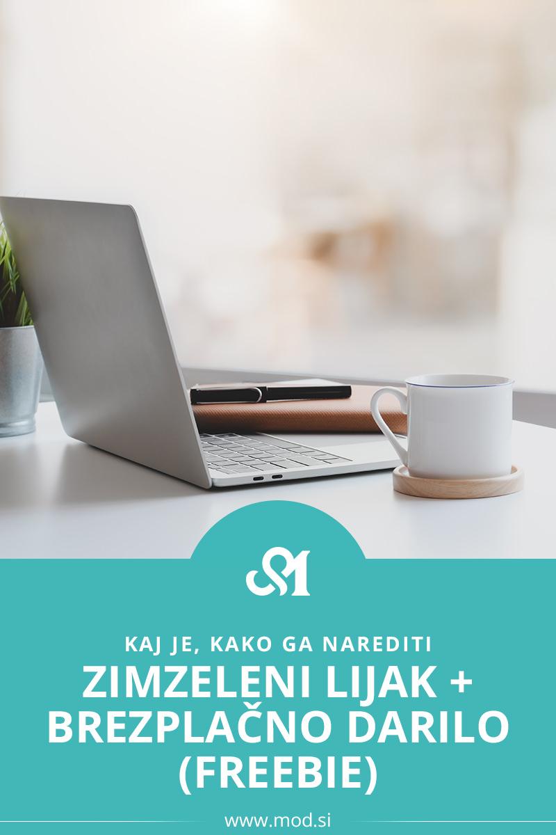 Zimzeleni lijak + brezplačno darilo (Freebie) - kaj je, kako ga narediti